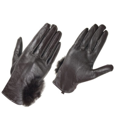 Dressing Gloves